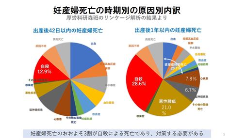 懷孕自殺|自殺による妊産婦死亡について